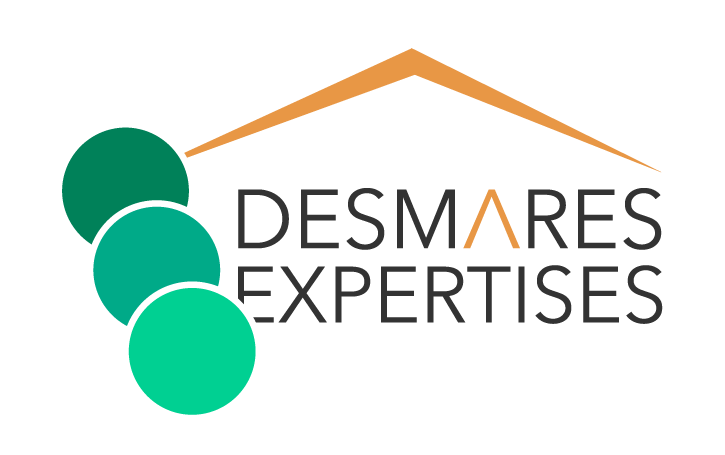 LOGO DESMARES EXPERTISES PNG